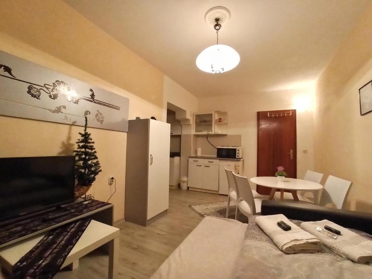 Appartement Vila Biljana Ohrid Extérieur photo