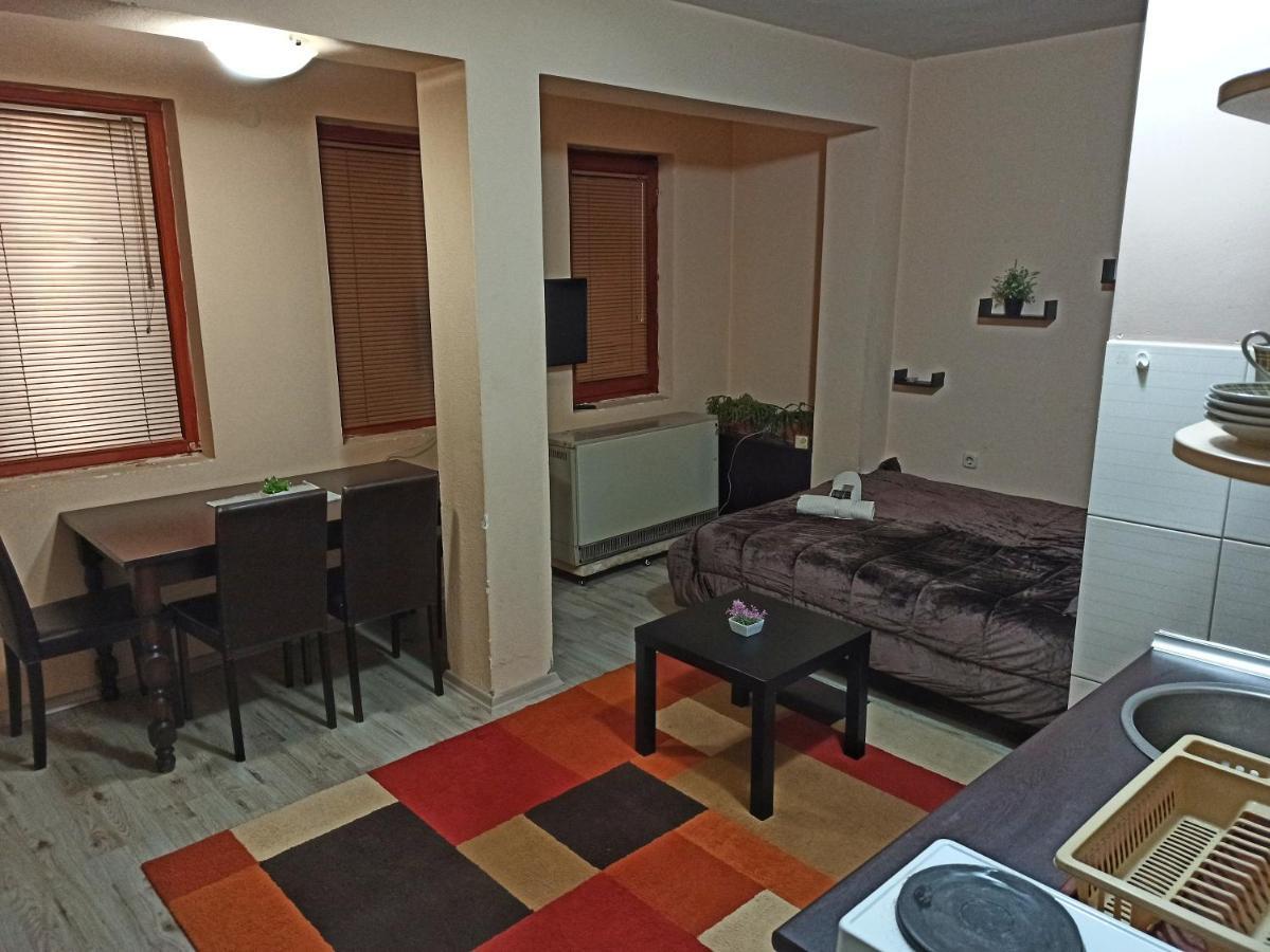 Appartement Vila Biljana Ohrid Extérieur photo