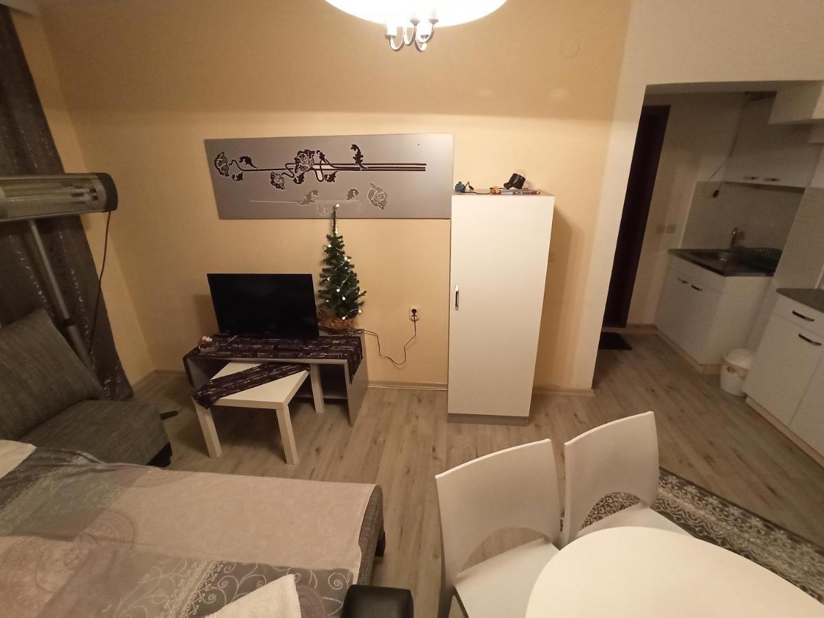 Appartement Vila Biljana Ohrid Extérieur photo